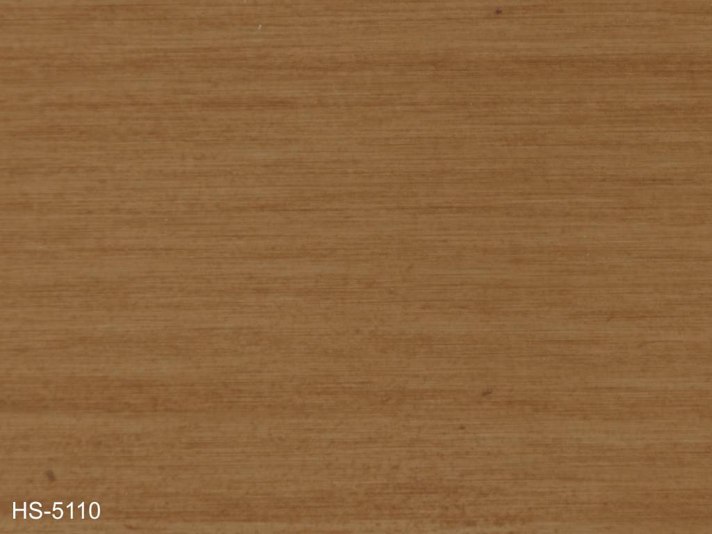 HS_5110_1024x768_150dpi.jpg